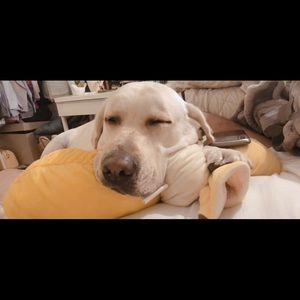 Meet your Posher, Flora